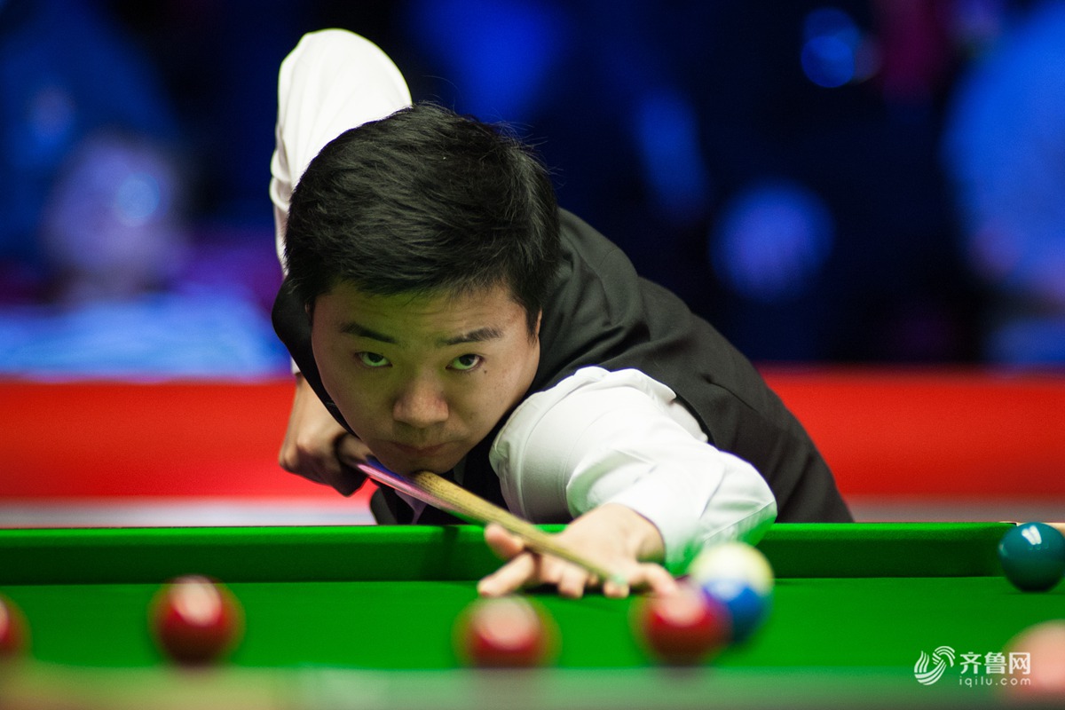 马深圳新鹏 马深圳新鹏