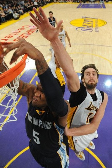 他们在篮板 他们在篮板